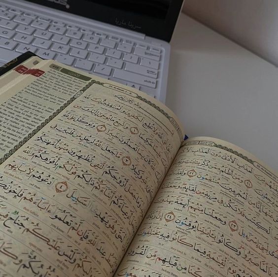 Quran Translation Course